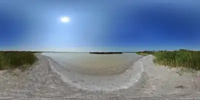 Darscho / Warmsee (Nordufer) bei Apetlon