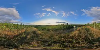 Blick vom Wagram bei Gols