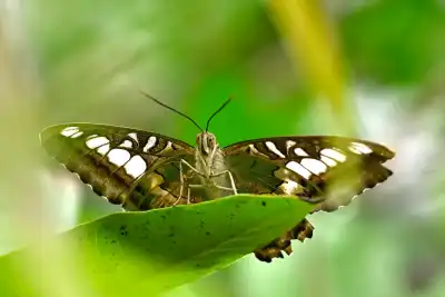 Keine Beschreibung vorhanden