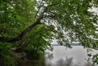 Fotograf während des Sonnenuntergangs am Starnberger See