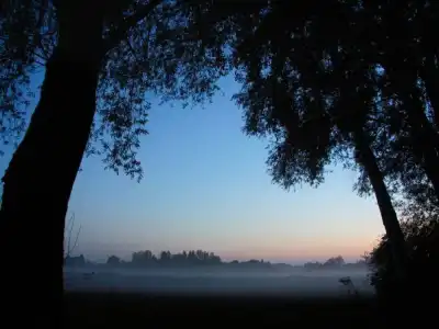Abendnebel zur Blauen Stunde