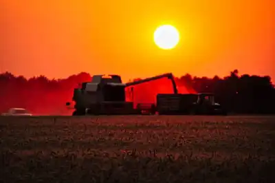 Getreideernte in Westungarn