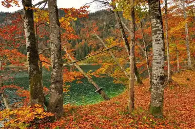 Herbst am Sylvensteinstausee