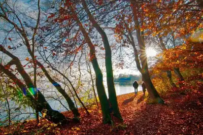 Herbstspaziergang am Starnberger See