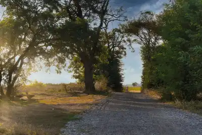 Keine Beschreibung vorhanden