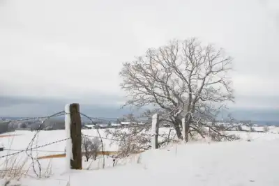 Winter in Oberbayern