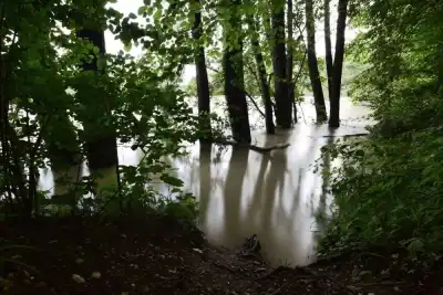 Keine Beschreibung vorhanden