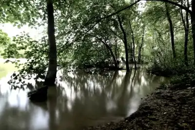 Keine Beschreibung vorhanden