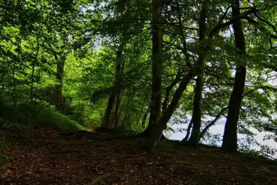 Keine Beschreibung vorhanden