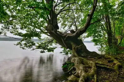 Keine Beschreibung vorhanden