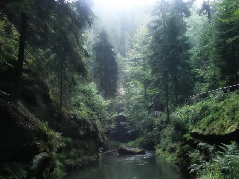 Edmundsklamm in der Böhmischen Schweiz