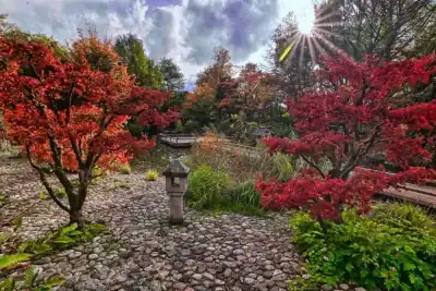 Japanischer Garten im Westpark München