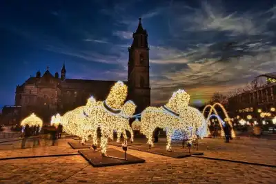 Nachtaufnahme der Lichterwelt Magdeburg