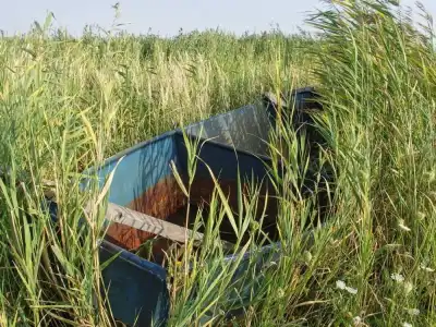 Fischerboot im Schilfgürtel des Neusiedler Sees