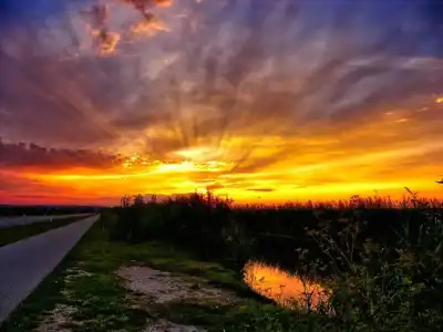 Abendhimmel über dem Schilfgürtel des Neusiedler Sees