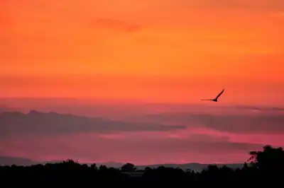 Weingärten am Westufer des Neusiedler Sees