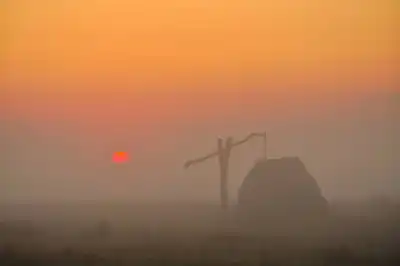 Pusztastimmung beim Sonnenaufgang im Seewinkel