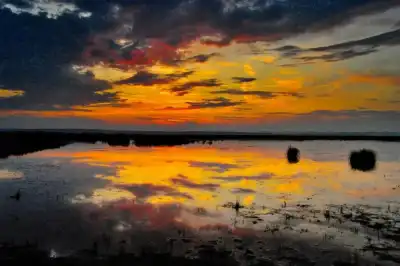 Keine Beschreibung vorhanden