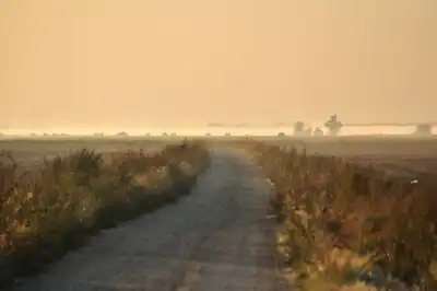 Weg über die Pfarrwiese im Seewinkel