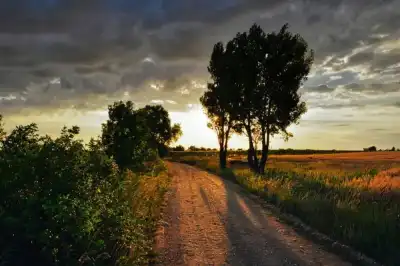 Über die weiten Ebenen des Seewinkels können teils heftige Winde wehen.