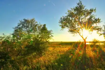 Baumgruppe im Neubruch, rechts am Bildrand die Fuchslochlacke