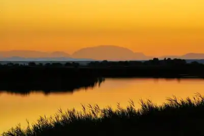 Region Neusiedler See - Seewinkel, fotografiert von Werner Pietschmann
