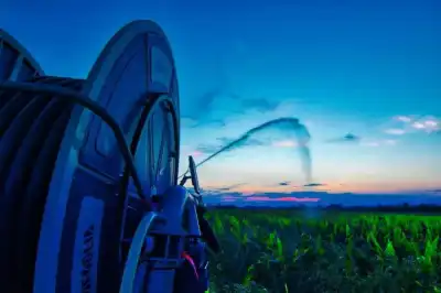 Feldberegnung im Seewinkel