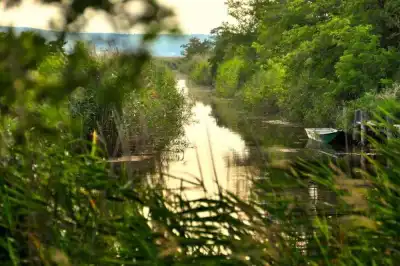 Die Kanäle durch den Schilfgürtel des Neusiedler Sees werden Schluichten genannt.