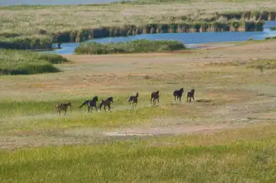 Keine Beschreibung vorhanden