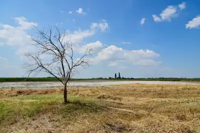 Die Apetloner Meierhoflacke versteckt sich normalerweise hinter dichter Vegetation.