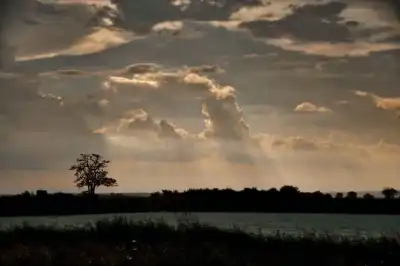 Die unverbaute Weite bieten einen freien Blick auf das Wolkenschauspiel über dem Seewinkel.