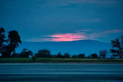 Ein Hauch von Afrika am Oberen Stinkersee im Nationalpark Neusiedler See - Seewinkel