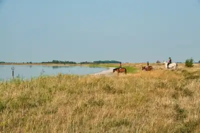 Morgennebel über der Pfarrwiese im Seewinkel