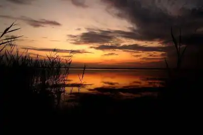 Düstere Abendstimmung am Darscho im Nationalpark Neusiedler See - Seewinkel