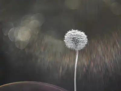 Gewöhnlicher Löwenzahn (Taraxacum ruderalia)