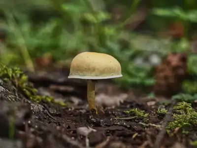 Keine Beschreibung vorhanden