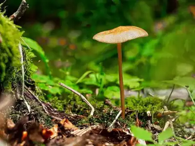 Keine Beschreibung vorhanden