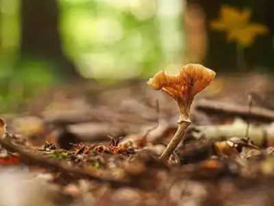 Keine Beschreibung vorhanden