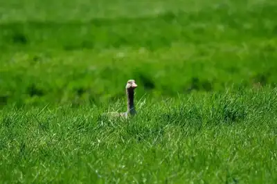 Keine Beschreibung vorhanden